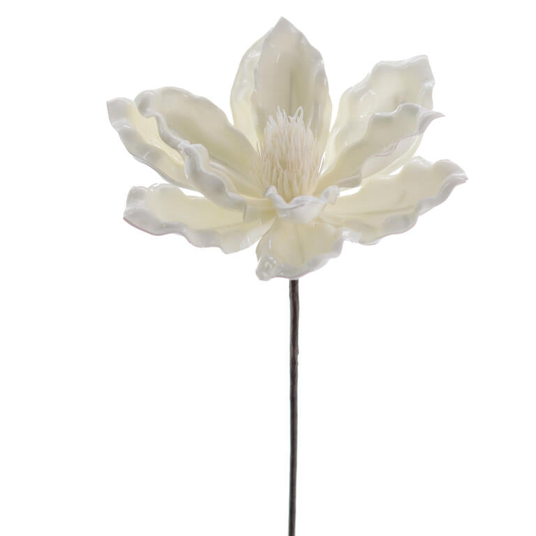 MAGNOLIA JADE BRANCO
