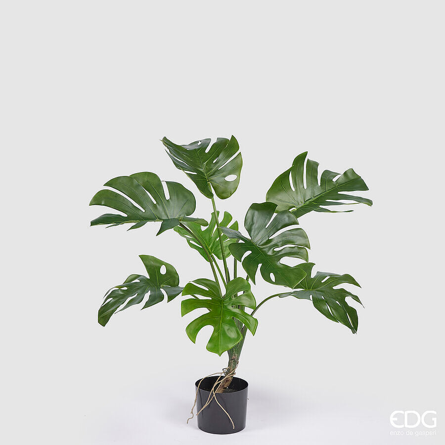 MONSTERA 100CM
