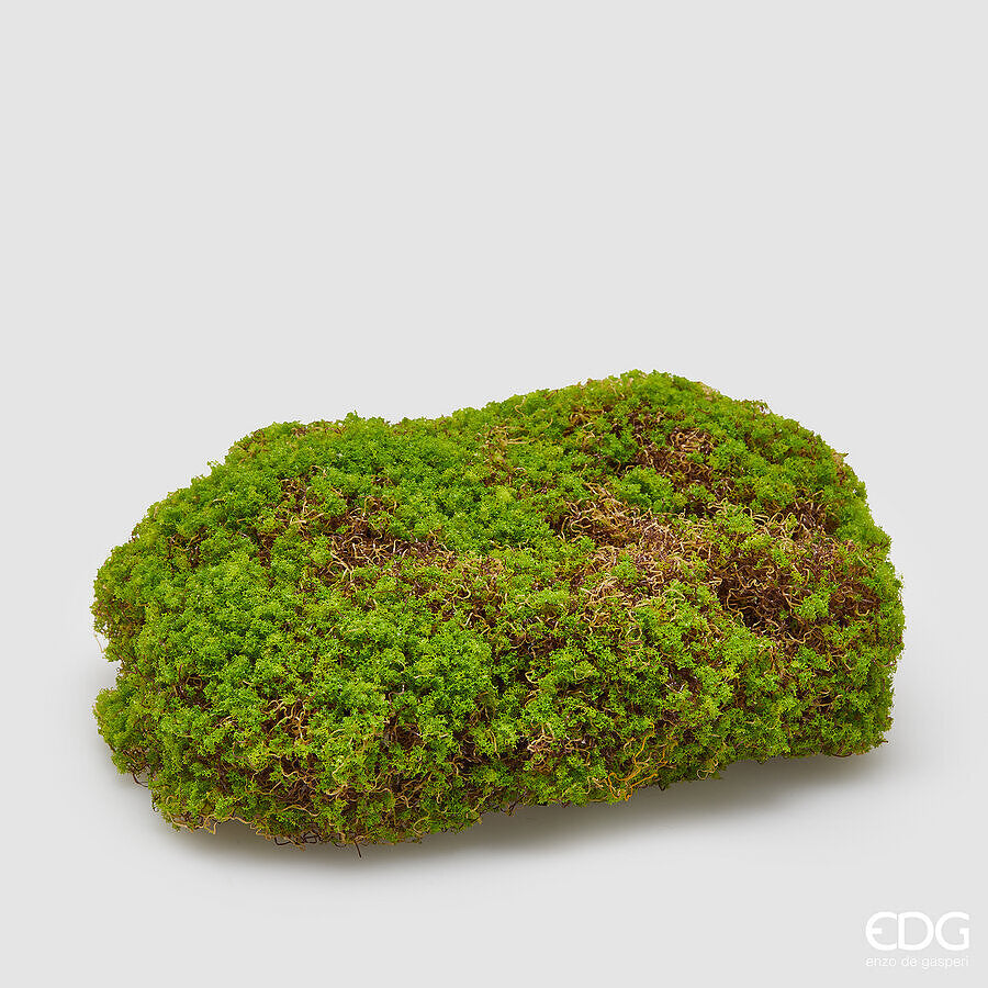 MUSGO 10x30x21CM