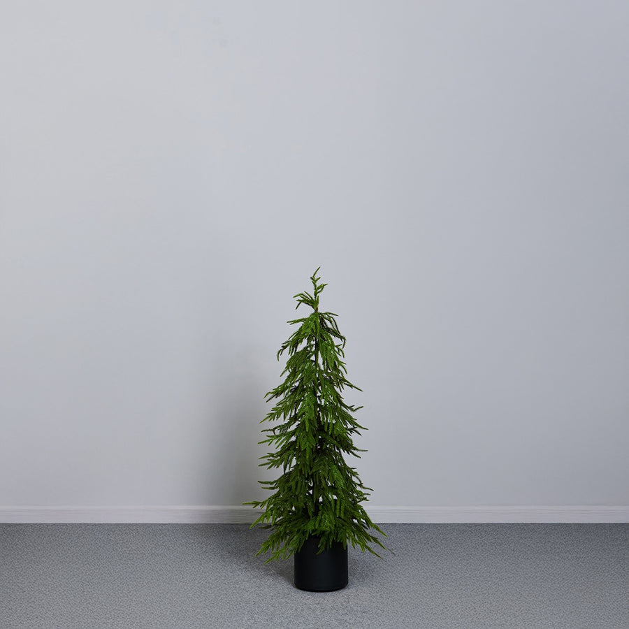 PINHEIRO 127CM