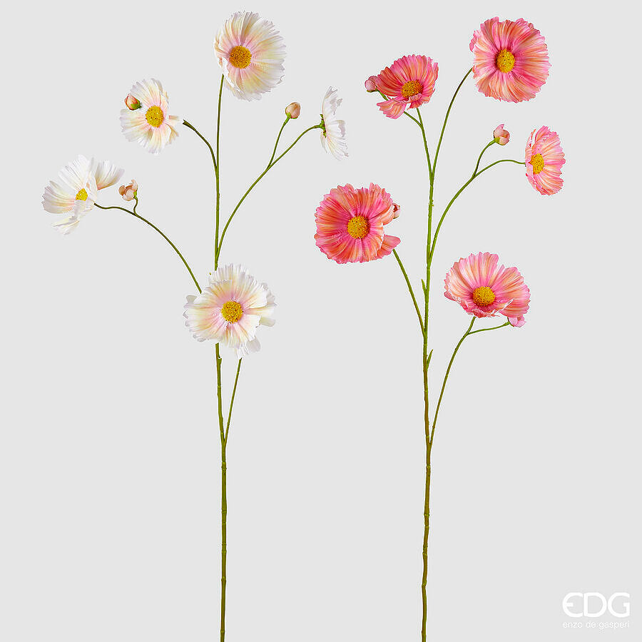 COSMOS CREME/ROSA SORTIDO 110CM