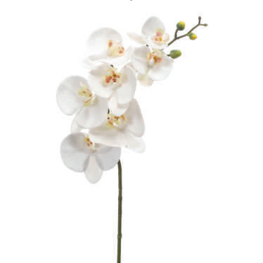 PHALAENOPSIS SPRAY RT BRANCA 83CM