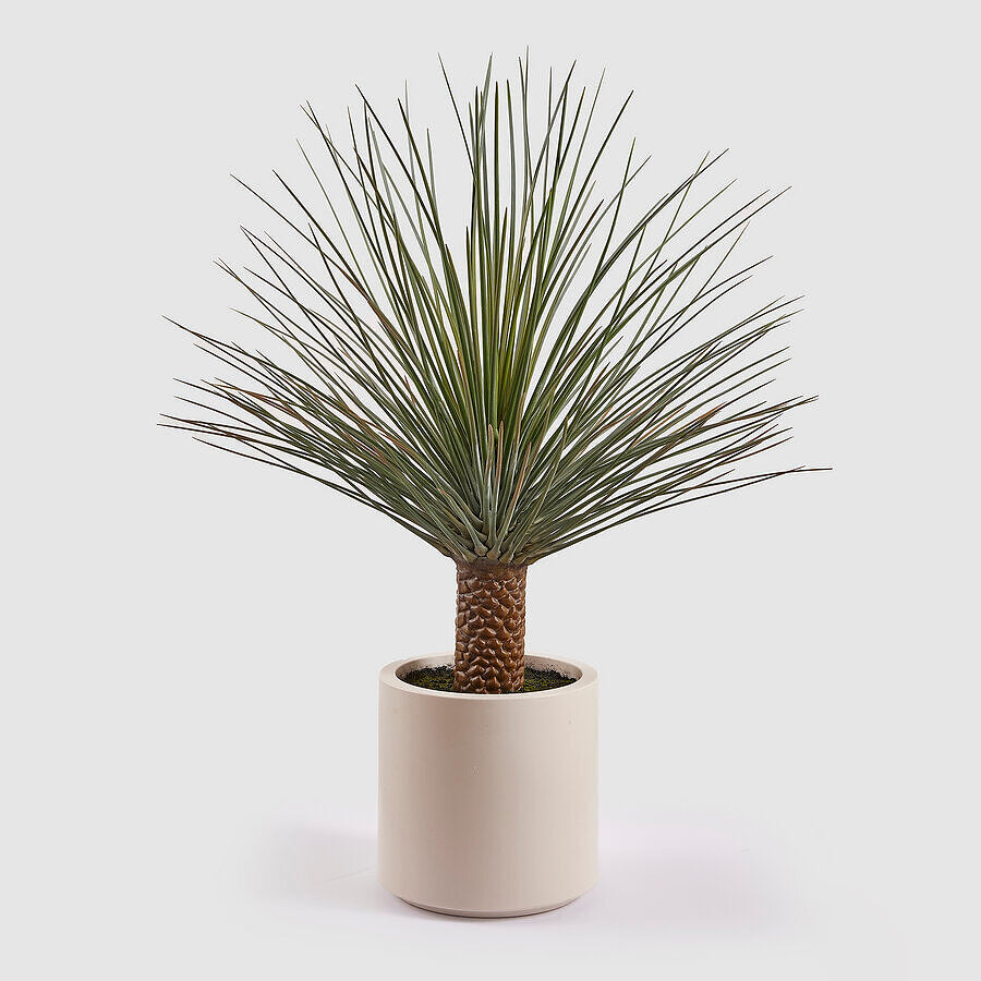 YUCCA C/VASO 124CM ALTURA