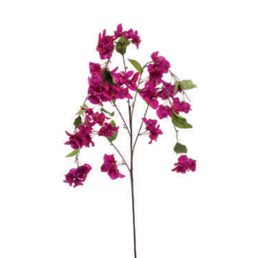 BOUGAINVILLEA SPRAY FUCHSIA 120CM