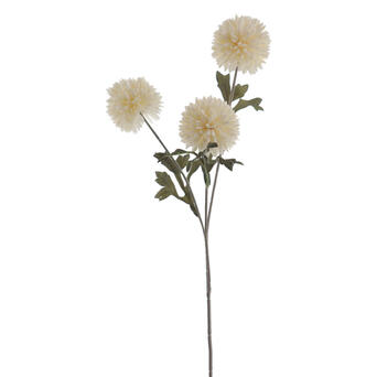 POM POM CRM