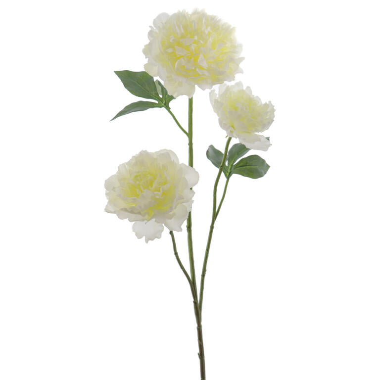 PEONIA AMARELO CLARO