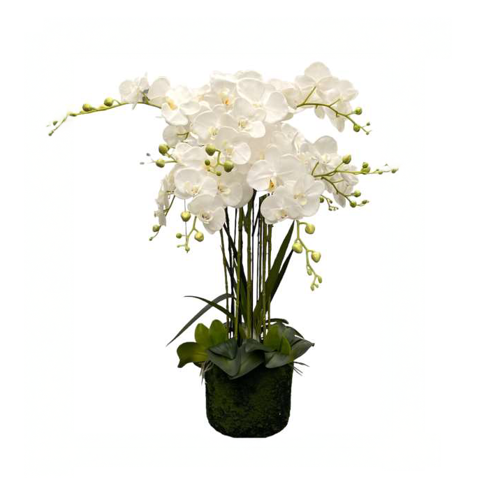 VASO C/ORQUIDEA C/TRONCO