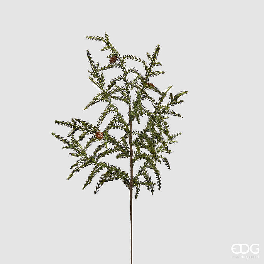 RAMO VERDURA CRYPTOMERIA H.68