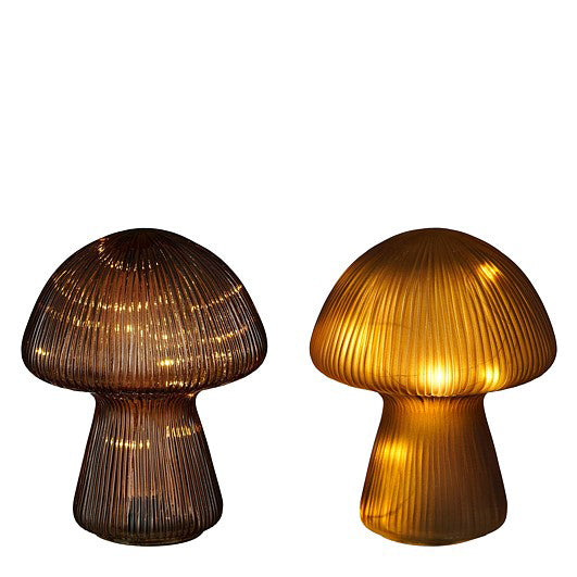 COGUMELHO CASTANHO LED SORT 20x16