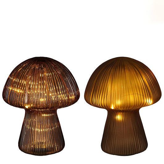 COGUMELHO CASTANHO LED SORT 25c20
