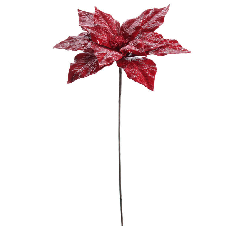 POINSETTIA JADE VERMELHO