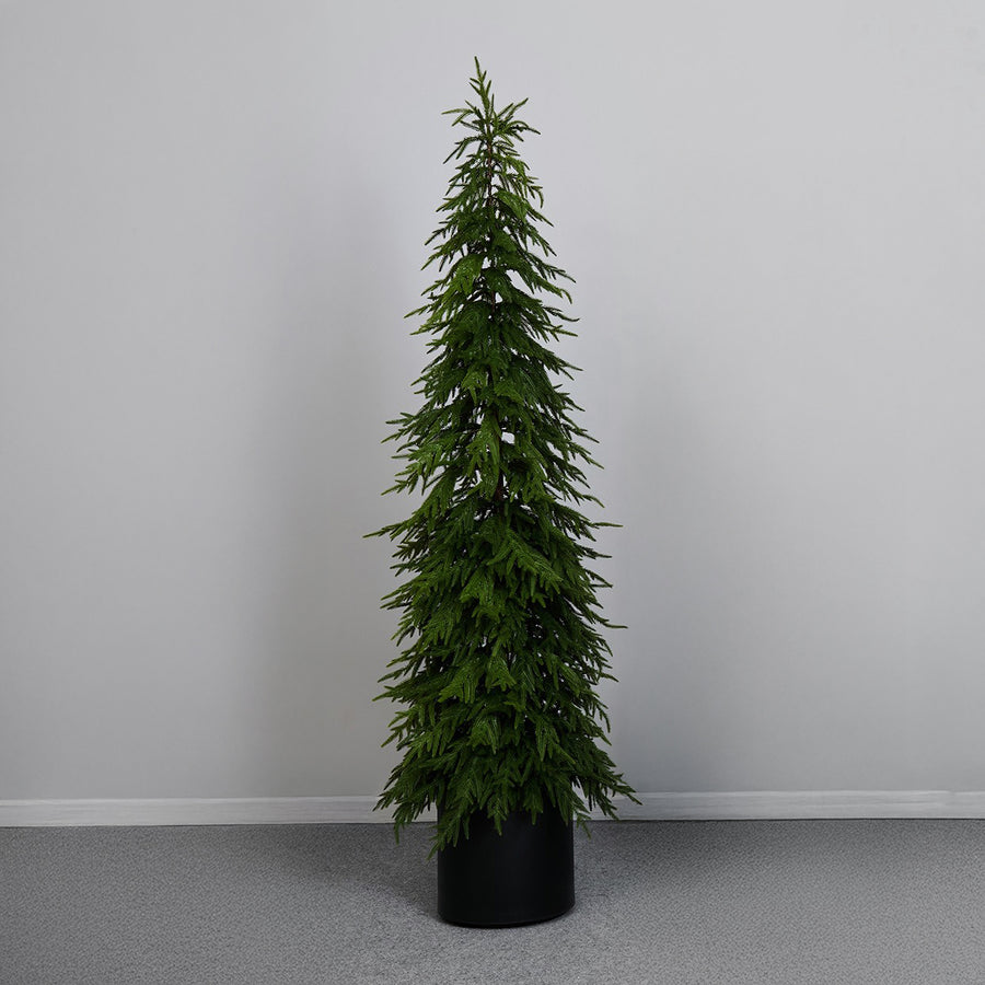 PINHEIRO 213CM