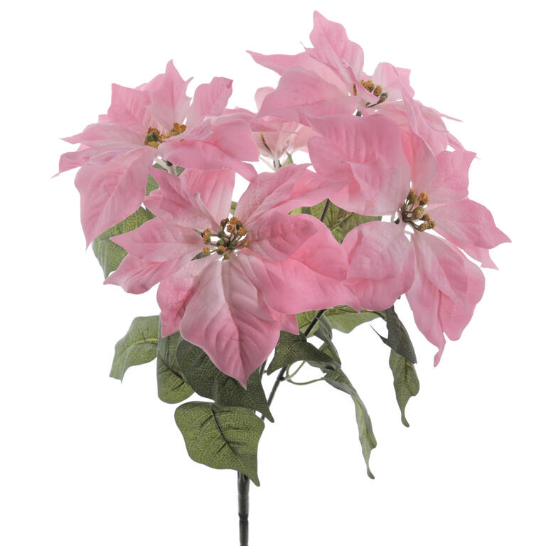 RAMO POINSETTIA ROSA X5