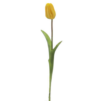 TULIPA AMARELA