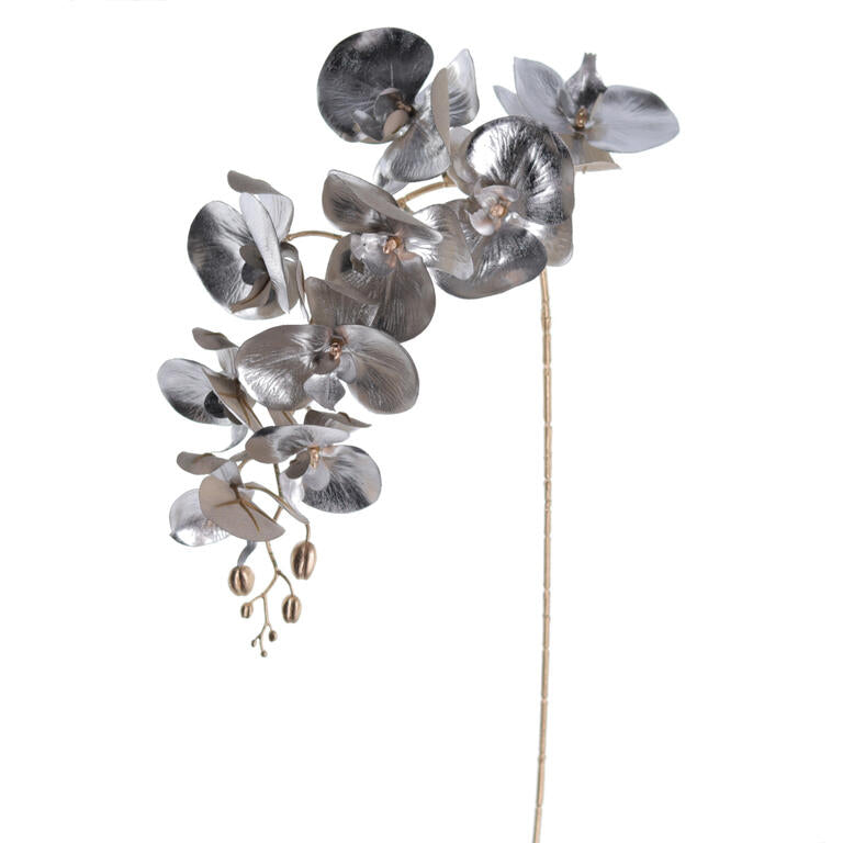 PHALENOPSIS TAUPE METALIZADO
