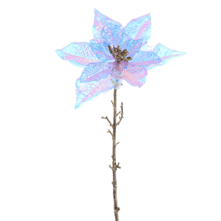 POINSETTIA TRANP IRIS CRISTAL