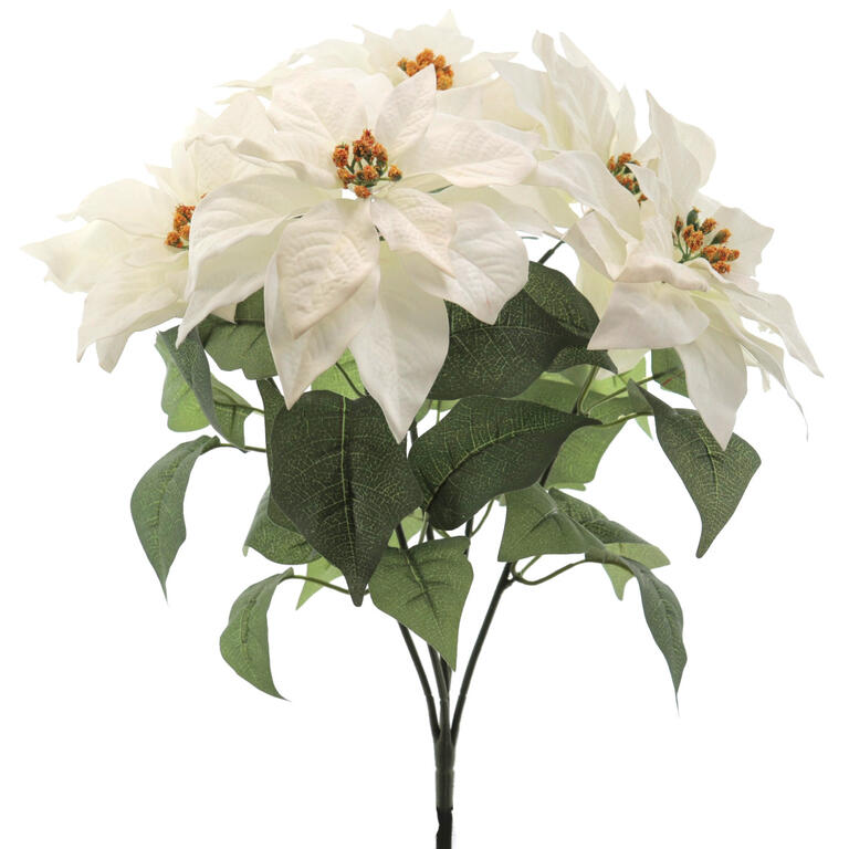 RAMO POINSETTIA BRANCO X5