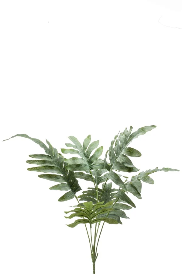 PHLEBODIUM BUSCH CINZA/VERDE 67CM