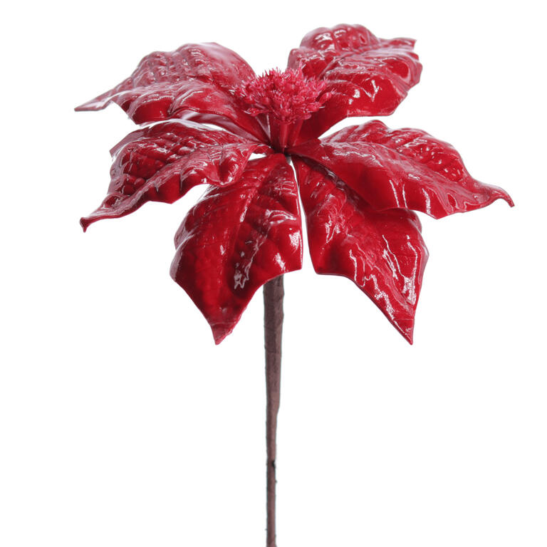 POINSETTIA JADE VERMELHO