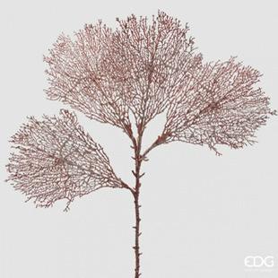 HASTE CORAL CORAL 66CM