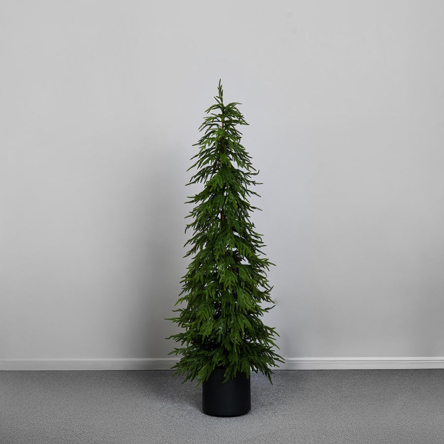 PINHEIRO 183CM