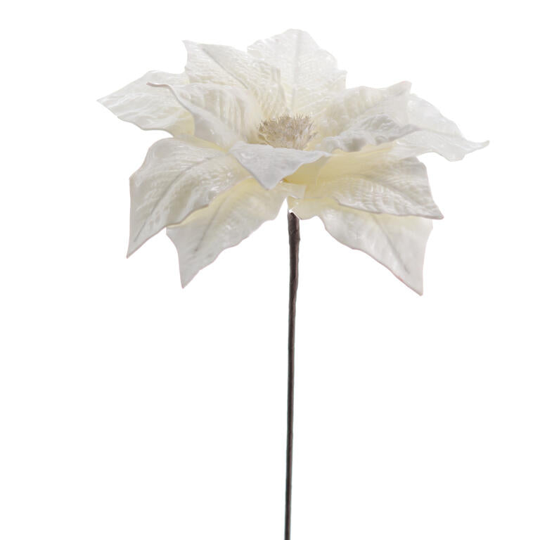 POINSETTIA JADE BRANCO