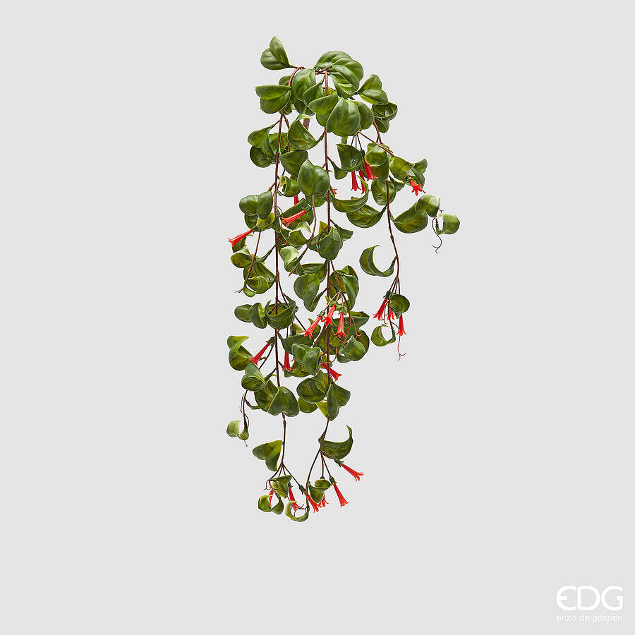 ESCHINANTO CADENTE X3 VERDE/VERMELHO 65CM