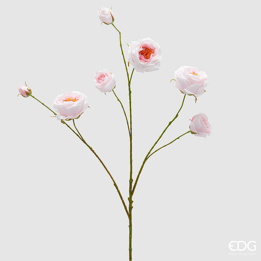 ROSEIRA BRANCA/ROSA 100CM