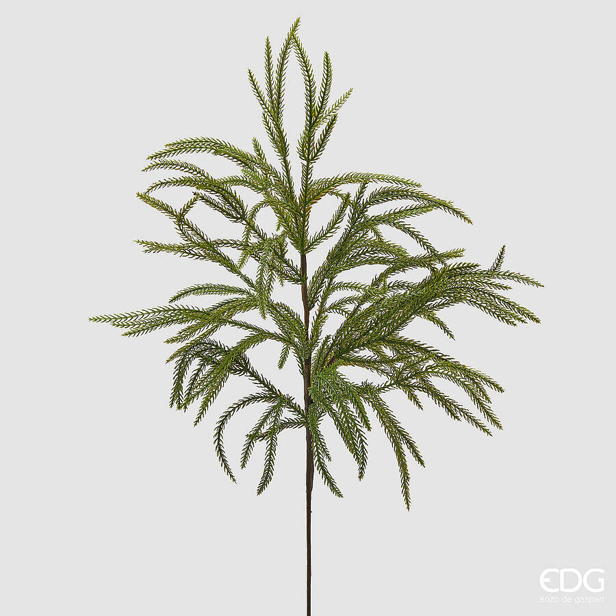 RAMO VERDURA CRYPTOMERIA H.85