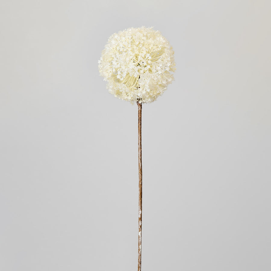 HASTE ALLIUM BRANCO 68CM