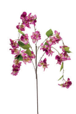 BOUGAINVILLEA SPRAY PURPLE 120CM