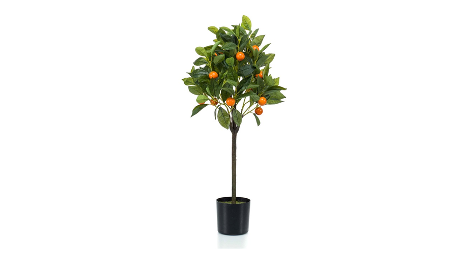 LARANJEIRA 75CM