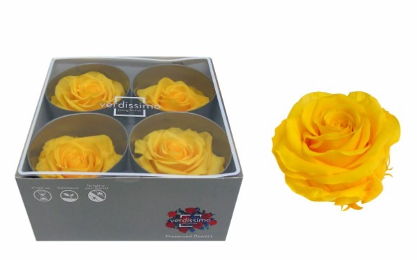 ROSA PRESERVADA PREMIUM AMARELO 18x18x9CM